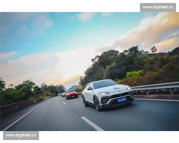 畅游山水之间感受速度与激情桂林城市自行车赛精彩路线全解析